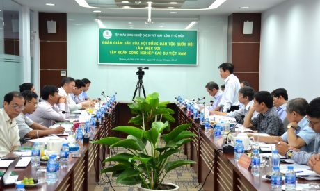 Cần có mức đền bù hợp lý khi thu hồi đất cao su